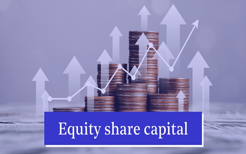 What are Equity Shares?